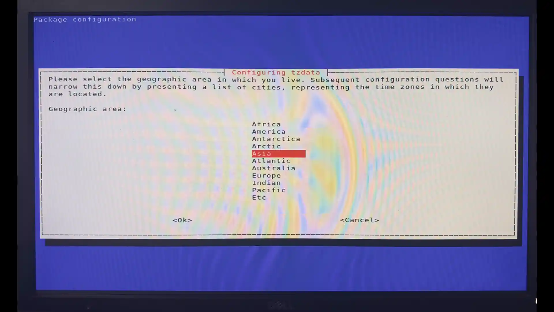 WEB效果预览